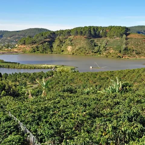 Central Highlands