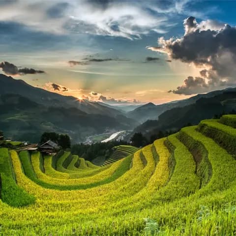 Mu Cang Chai Terraces