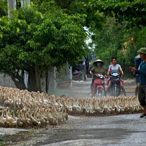 Ninh Binh Karst Ride