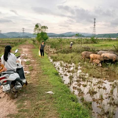 Phong Nha Backroads
