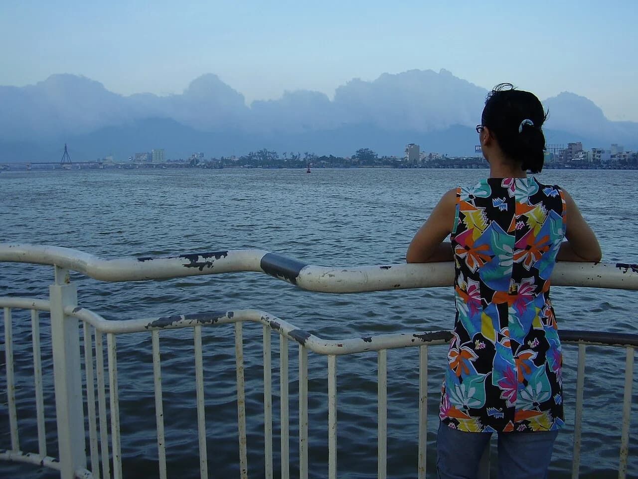 Han River, Da Nang