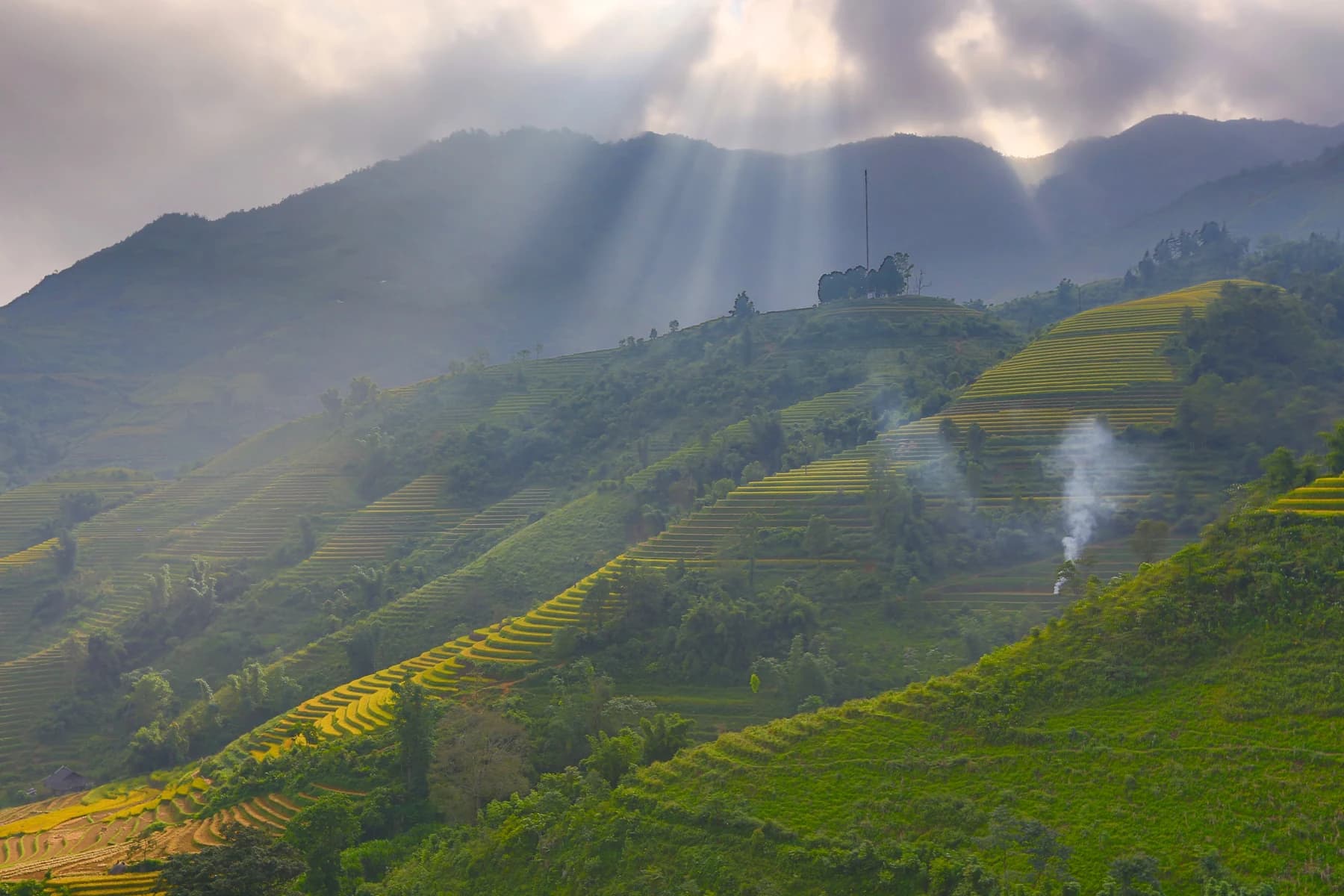 Trung Chai rice terraces, Sa Pa