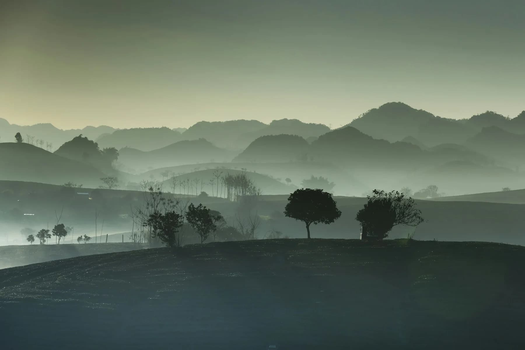 Moc Chau Farm, Son La Province, Vietnam
