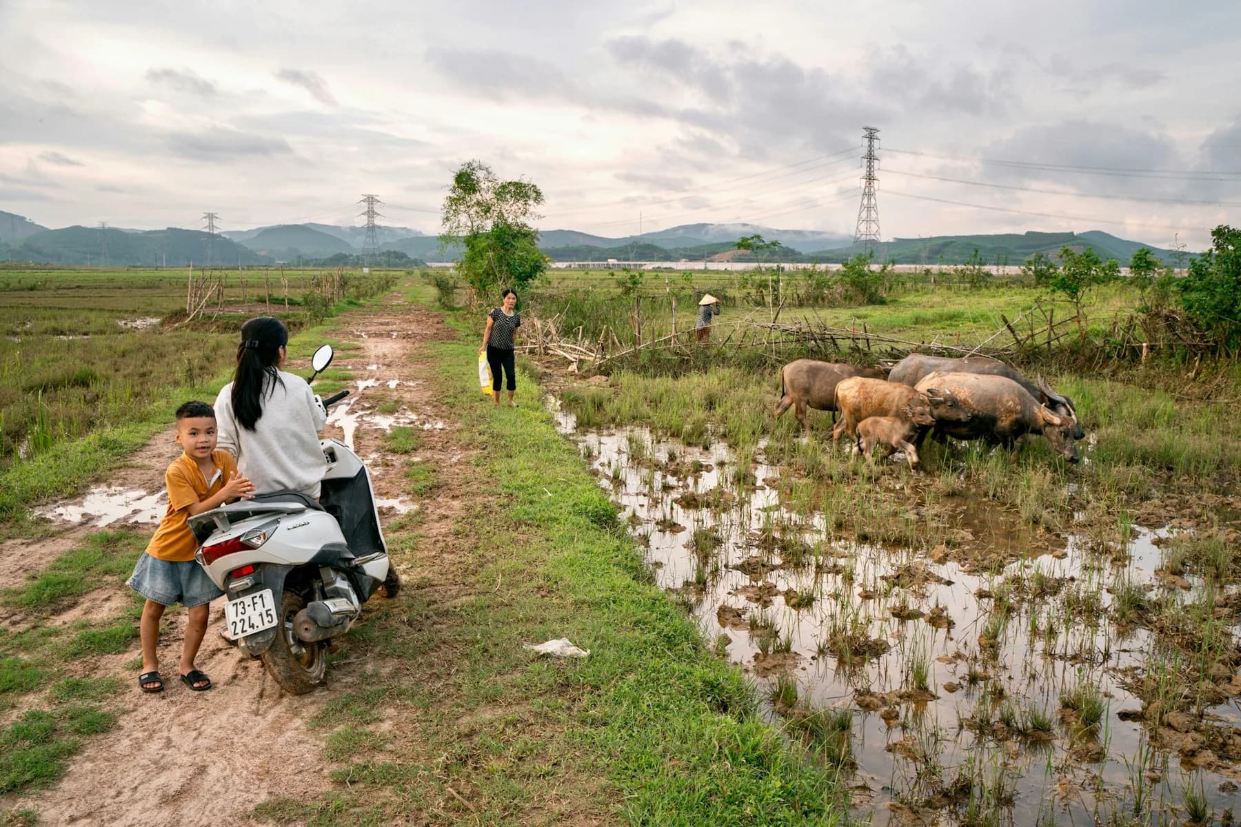 Phong Nha, Bo Trach, Vietnam
