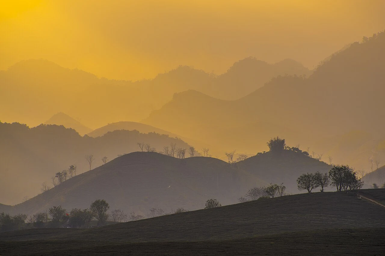 Moc Chau Farm, Son La Province, Vietnam