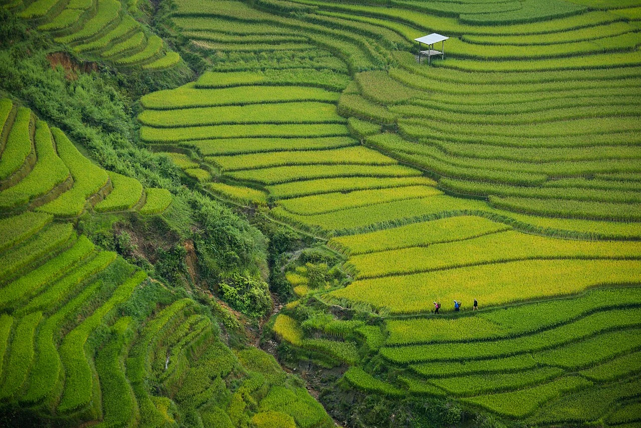 Mù Cang Chải, Yên Bái, Vietnam