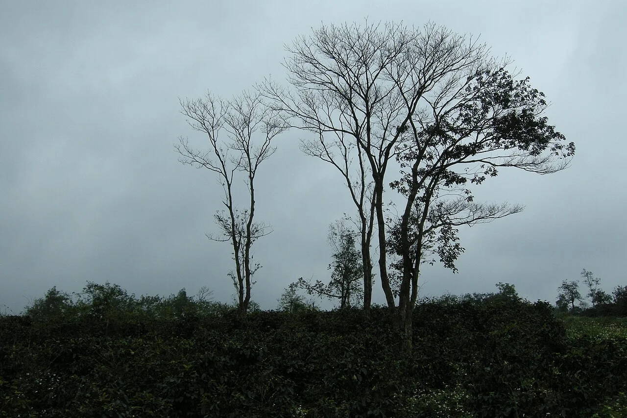Khe Sanh landscape