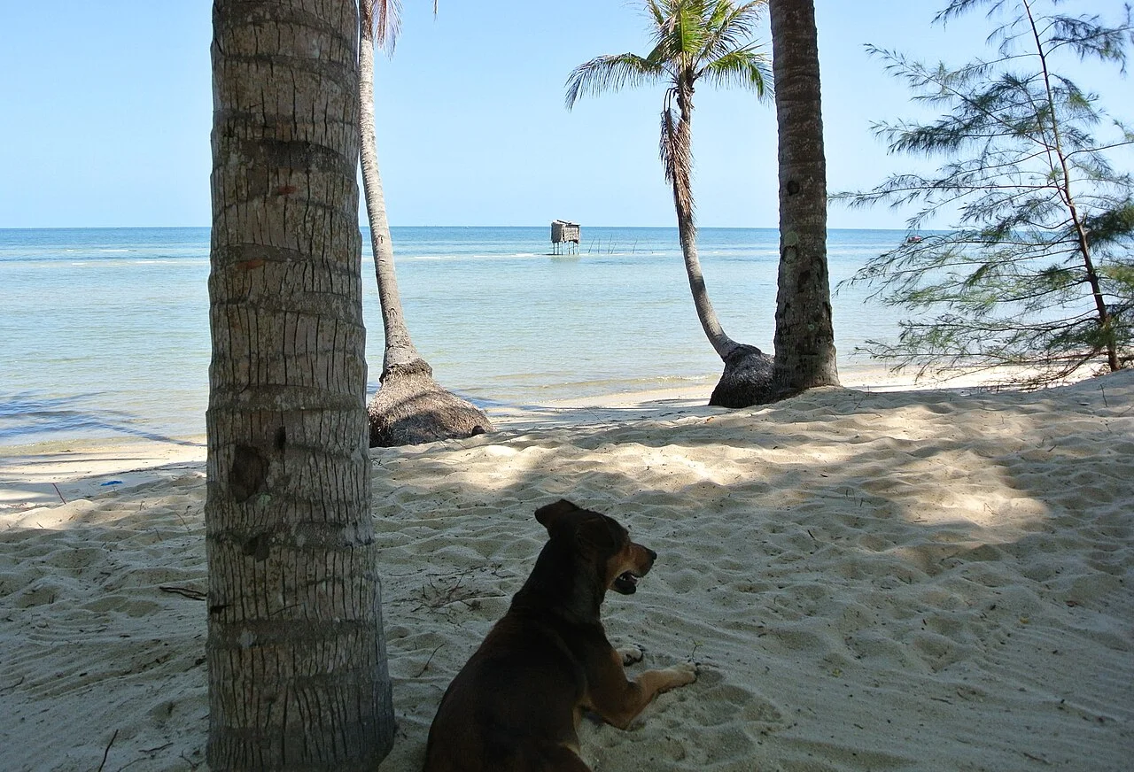 Ham Ninh Phu Quoc