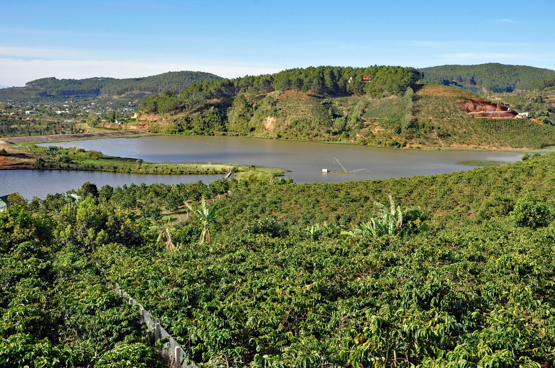 Da Lat coffee country, Vietnam