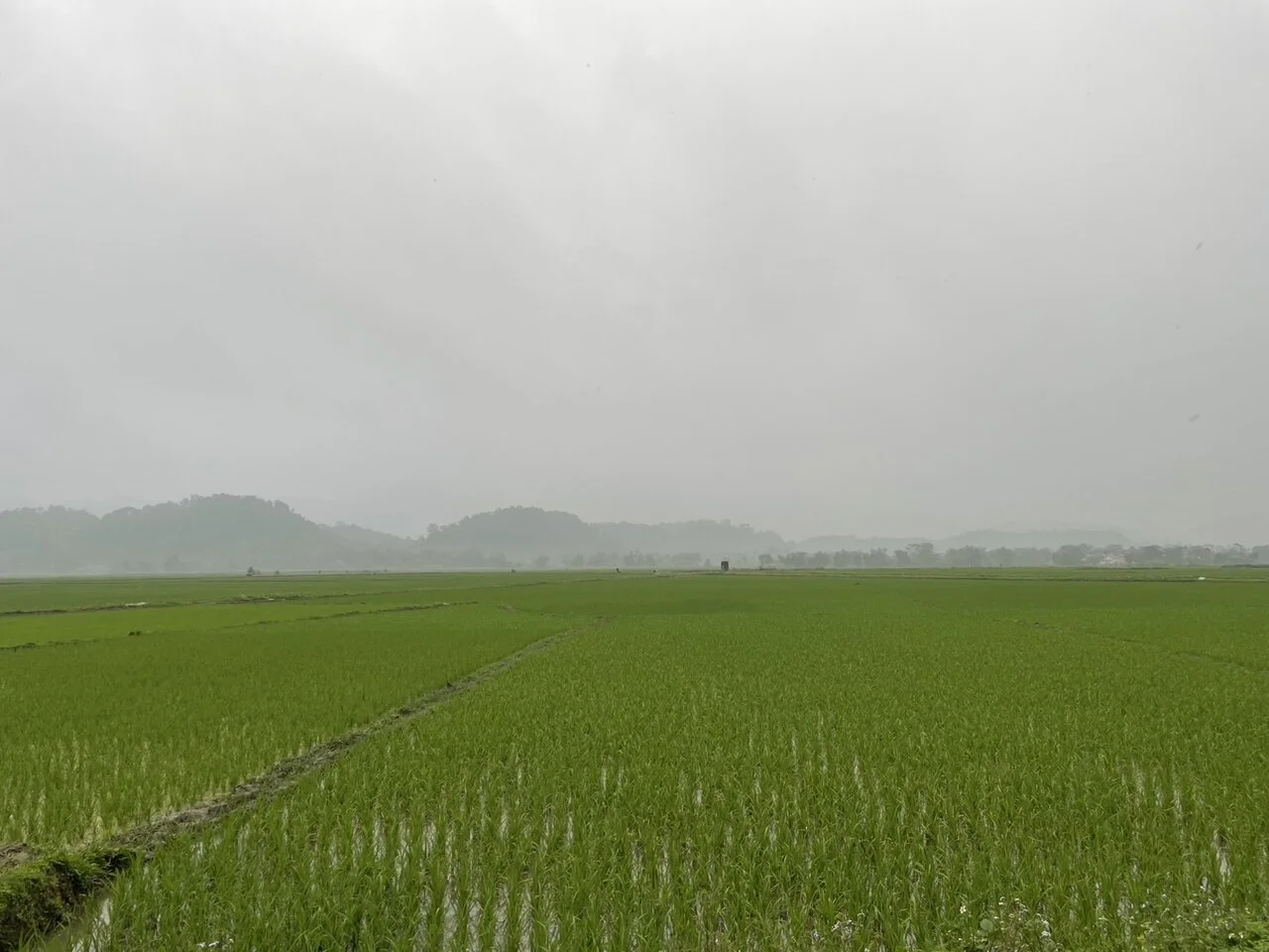 Mon Son village, Con Cuong, Nghe An