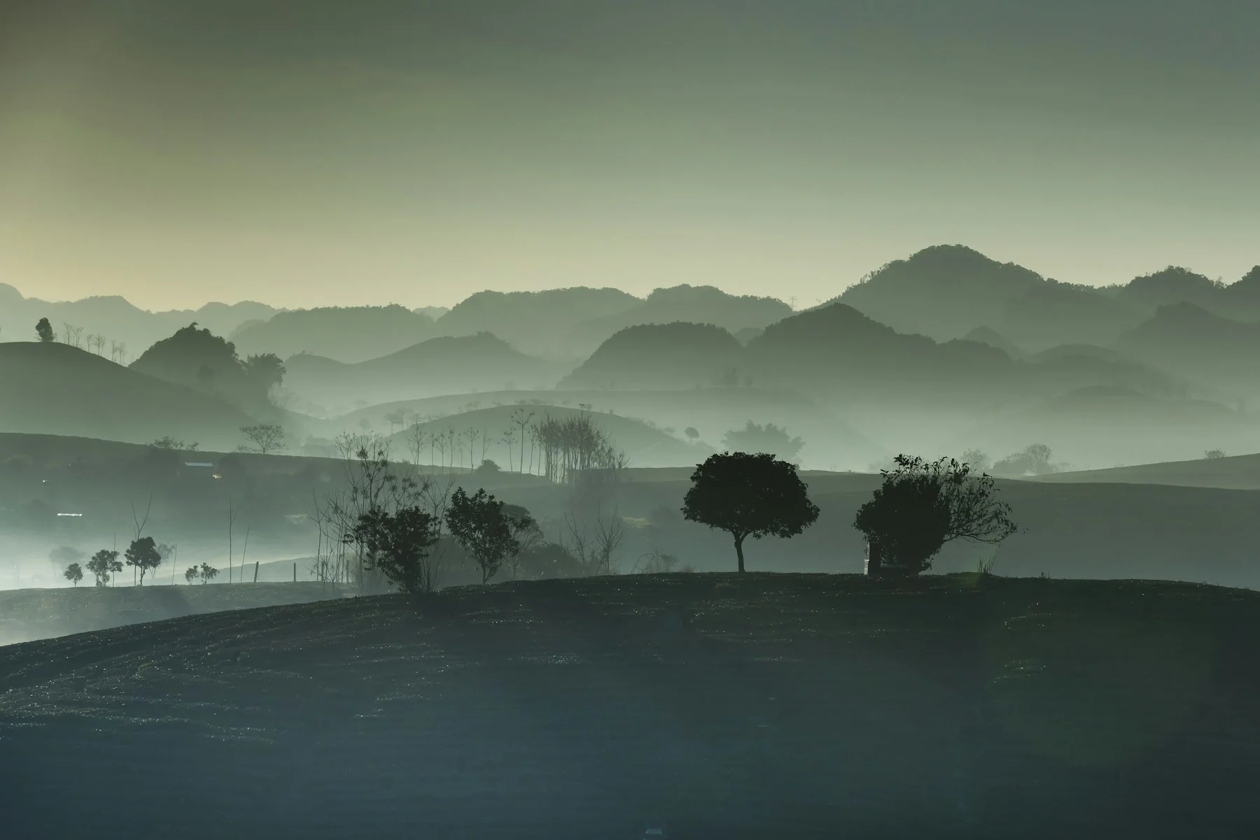 Moc Chau Farm, Son La Province, Vietnam