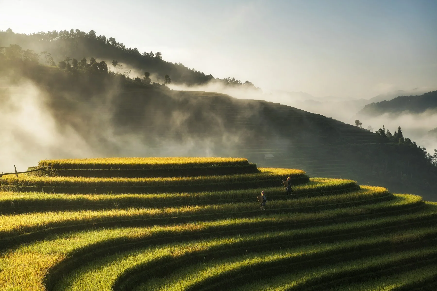Mù Cang Chải, Yên Bái, Vietnam