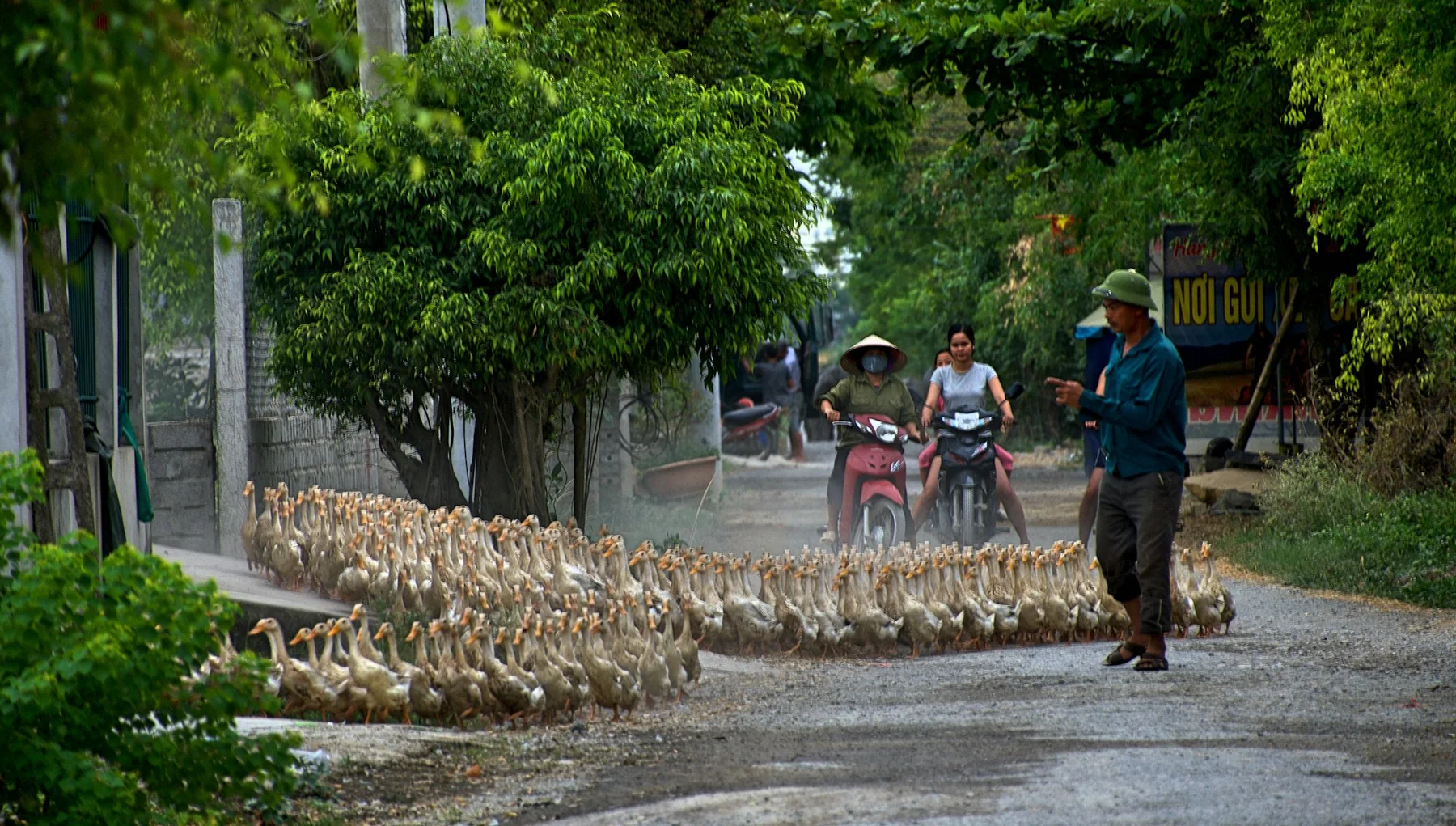 Ninh Binh / Tam Coc