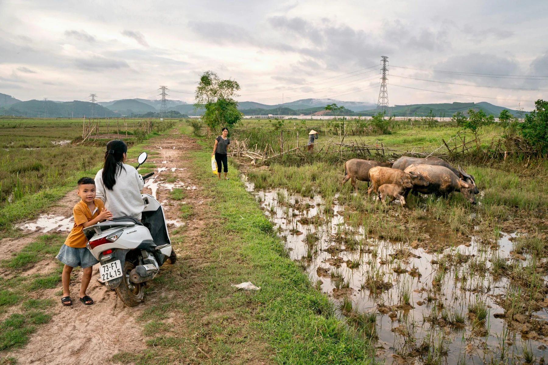 Phong Nha, Bo Trach, Vietnam