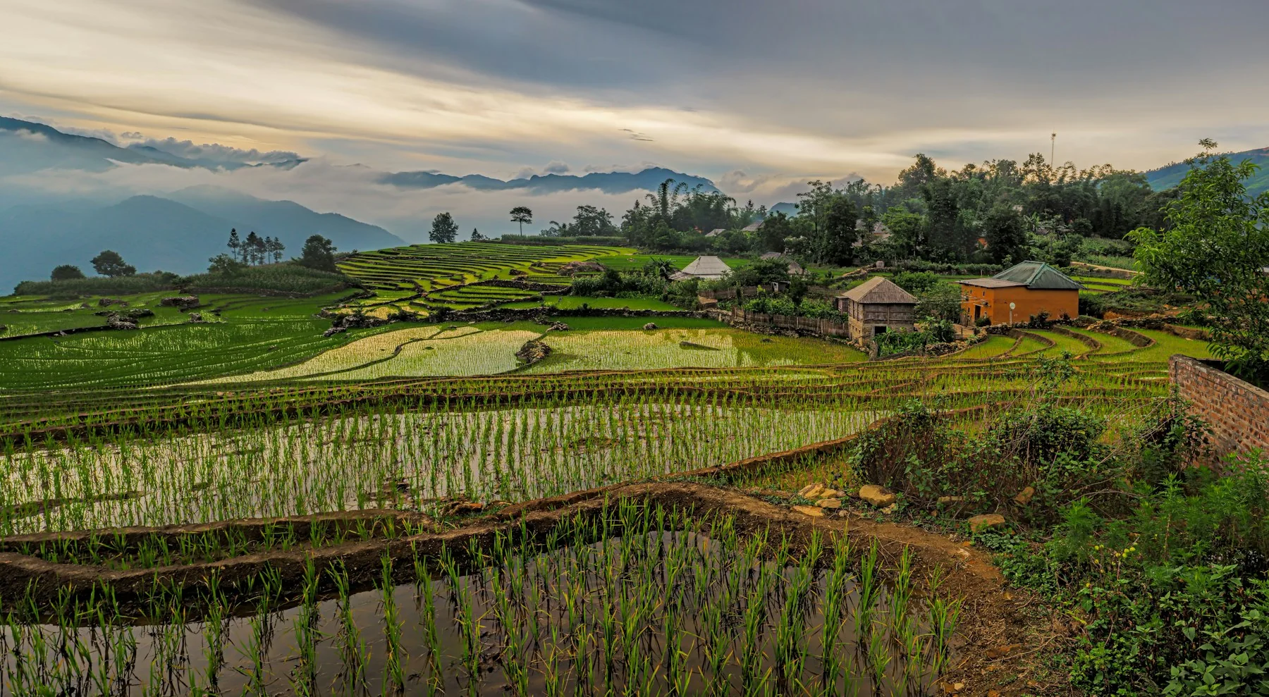 Y Ty, Vietnam